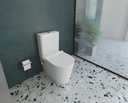 Titan whole set of toilet SANIPURE