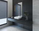 EVONA over-counter washbasin 51*40CM SANIPURE