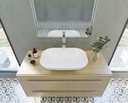 EROS over-counter washbasin 60*40CM SANIPURE