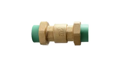 Check Valve-PPR Ends B.R