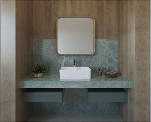 FELIS over-counter washbasin 48CM SANIPURE